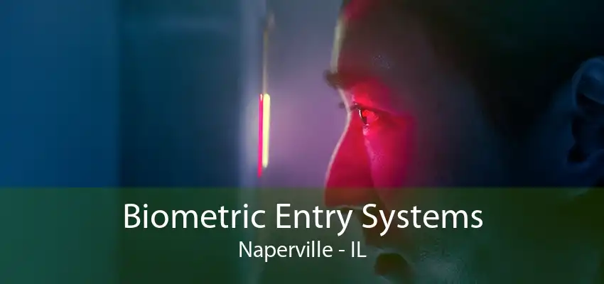 Biometric Entry Systems Naperville - IL