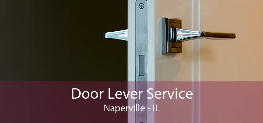 Door Lever Service Naperville - IL