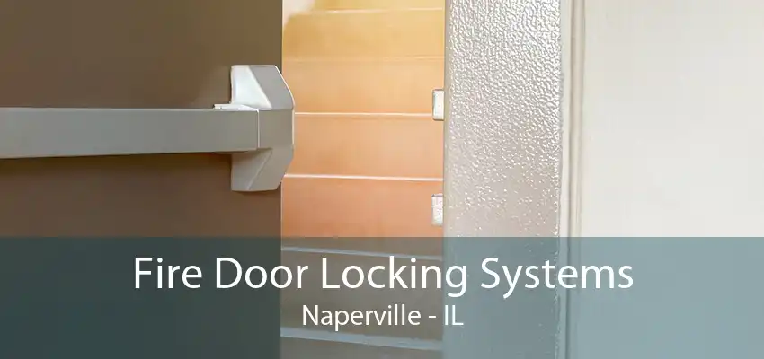 Fire Door Locking Systems Naperville - IL