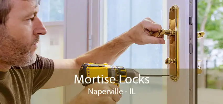 Mortise Locks Naperville - IL