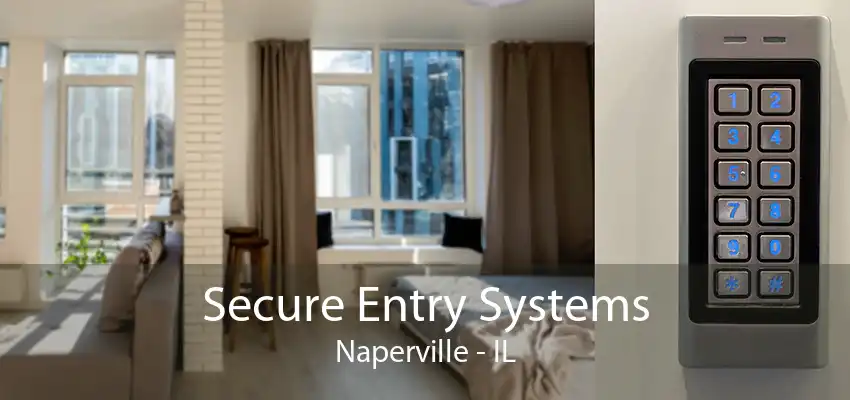 Secure Entry Systems Naperville - IL