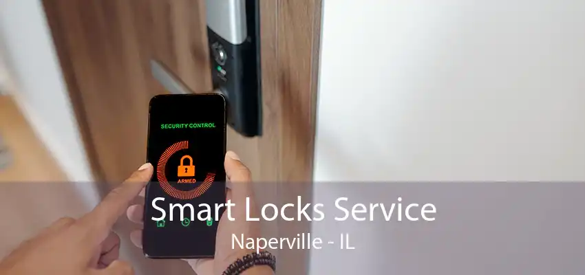 Smart Locks Service Naperville - IL